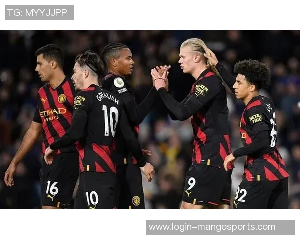 英超羽毛球耐力排行榜出炉重庆羽毛球队强势领跑前十名 英超羽毛球耐力排行榜出炉重庆羽毛球队强势领跑前十名