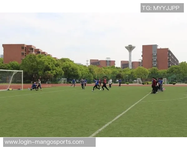 飞盘运动在深圳的快速崛起与发展探讨